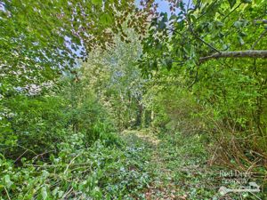 Garden- click for photo gallery